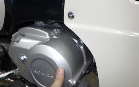 HONDA C110 SUPER CUB