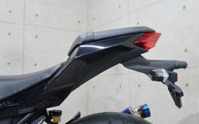 KAWASAKI NINJA 250 EX250L