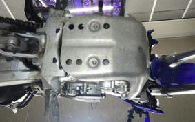 YAMAHA WR250R 2022 DG15J