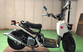 HONDA ZUMAR AF58