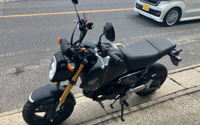 HONDA GROM JC92