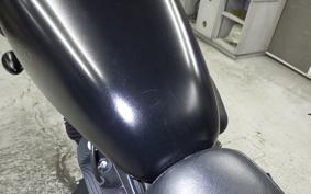 HARLEY XL883N 2010