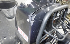 HONDA ZOOMER 2021 AF58