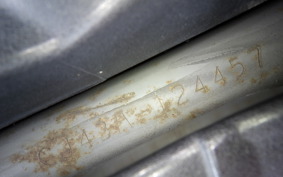 SUZUKI SKYWAVE 250 (Burgman 250) SS CJ43A