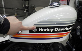 HARLEY XL1200XS 2019