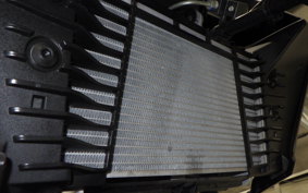 YAMAHA MT-25 A RG43J