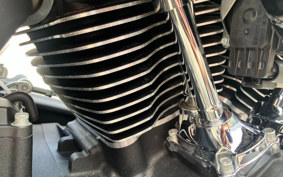 HARLEY FXBBS 2022 YYK