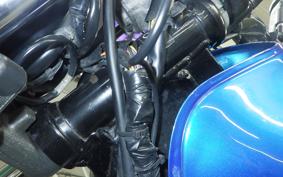 SUZUKI GRASS TRACKER Bigboy 2020 NJ4BA
