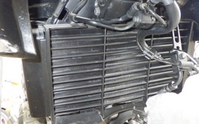 HONDA CB400 SUPER BOLDOR 2024 NC42