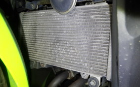 KAWASAKI NINJA 250 ABS 2025 EX250L