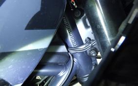 HARLEY PAN AMERICA 1250 S 2024