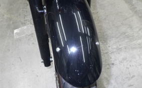 KAWASAKI W800 2013 EJ800A