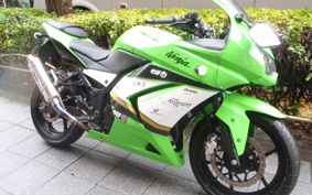 KAWASAKI NINJA 250R EX250K