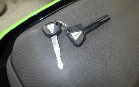 KAWASAKI NINJA 250 2021 EX250P