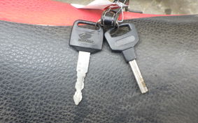 HONDA CRM250AR MD32