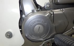 HONDA C90 SUPER CUB 2017 HA02