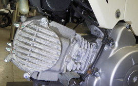 HONDA ｸﾛｽｶﾌﾞ50 AA06