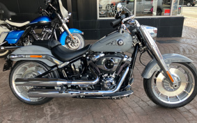 HARLEY  HARLEY FLFB 2025 YF9