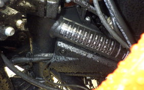 HARLEY PAN AMERICA 1250 S 2021