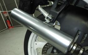 SUZUKI RGV250 Gamma 2025 VJ21A
