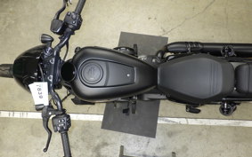 HARLEY RH975S 2024