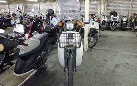 HONDA C50 SUPER CUB C50