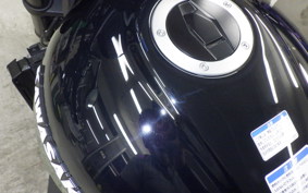 KAWASAKI Z900RS CAFE 2024 ZR900K