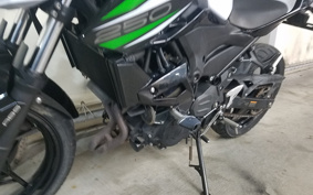 KAWASAKI Z250ABS EX250P