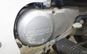 HONDA C50 SUPER CUB 2024 AA01