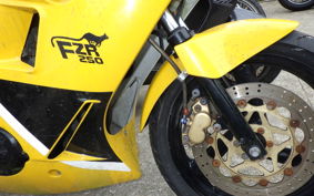 YAMAHA FZR250 2KR