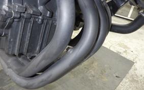 HONDA HORNET 250 2025 MC31