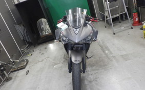 YAMAHA YZF-R25 2022 RG10J