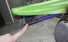 KAWASAKI KLX250 SR LX250E