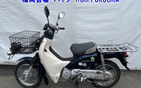 OTHER C110PU LOW 2