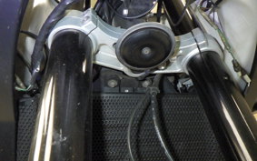 TRIUMPH TIGER 1050 2013