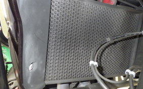 TRIUMPH TIGER 800 XC 2014