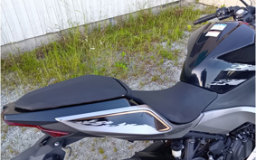 KAWASAKI NINJA 250 EX250P