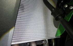 KAWASAKI NINJA 1000 A 2019 ZXT00W