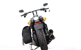 HARLEY FLSL 2020 YDJ