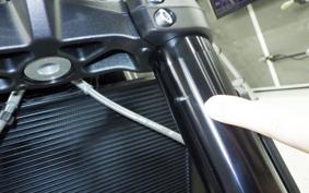 TRIUMPH TRIDENT 660 2026