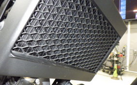 HONDA REBEL 250 MC49
