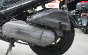 HONDA ZUMAR AF58