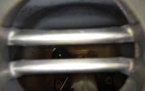 HONDA CRF250L 2021 MD44
