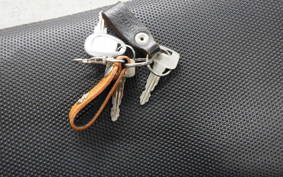 SUZUKI DR250 R-S SJ45A