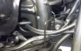 KAWASAKI NINJA 250 2019 EX250L