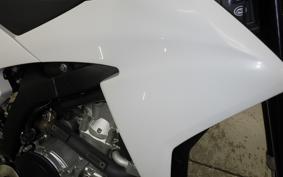 YAMAHA WR250X 2009 DG15J