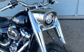 HARLEY FLFBS 2022 YGK