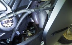 MV AGUSTA SUPER VELOCE 800 2021