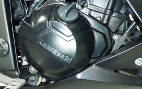 KAWASAKI Z250 A 2021 ER250C