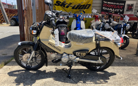 HONDA CROSS CUB 110 LITE JA79